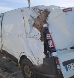 Demarreur RENAULT TRAFIC 3 COURT Photo n°8