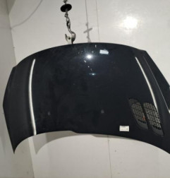 Capot PEUGEOT 206+ Photo n°1