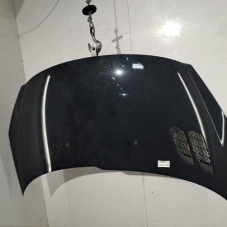 Capot PEUGEOT 206+ Photo n°1