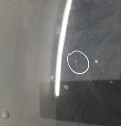 Capot PEUGEOT 206+ Photo n°3