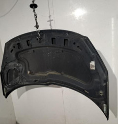 Capot PEUGEOT 206+ Photo n°4