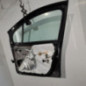 Porte avant droit RENAULT MODUS