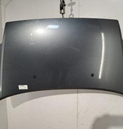 Capot CITROEN C2 Photo n°1