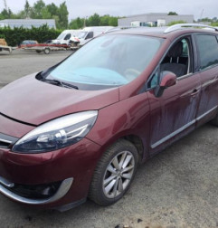 Porte arriere gauche RENAULT GRAND SCENIC 3 Photo n°5
