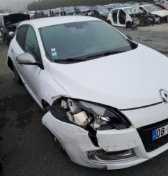 Porte arriere gauche RENAULT MEGANE 3 Photo n°5