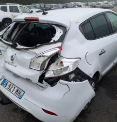 Porte arriere gauche RENAULT MEGANE 3 Photo n°6