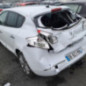 Porte arriere gauche RENAULT MEGANE 3