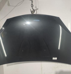 Capot DACIA SANDERO 1 Photo n°1