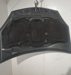 Capot DACIA SANDERO 1 Photo n°3