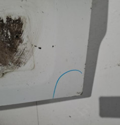 Porte de coffre gauche OPEL VIVARO 1 Photo n°3