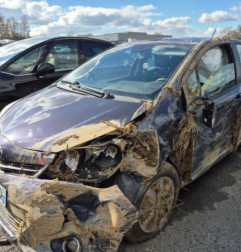 Moteur TOYOTA YARIS 3 Photo n°5