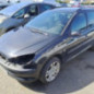 Porte arriere gauche PEUGEOT 206
