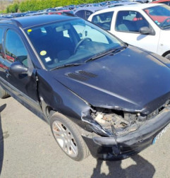 Porte avant gauche PEUGEOT 206 Photo n°6