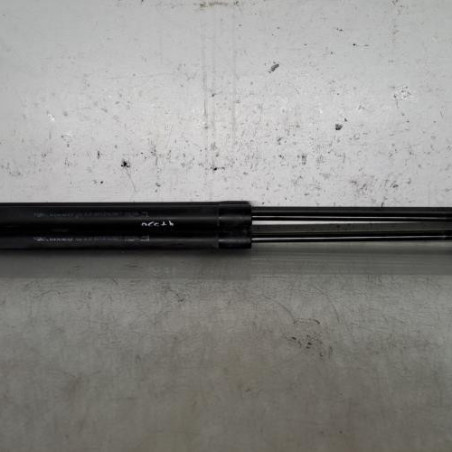 Verin de coffre RENAULT MEGANE 4 Photo n°1