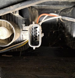 Feu arriere principal droit (feux) RENAULT TRAFIC 3 COURT Photo n°5