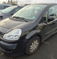 Porte arriere gauche RENAULT GRAND MODUS Photo n°13