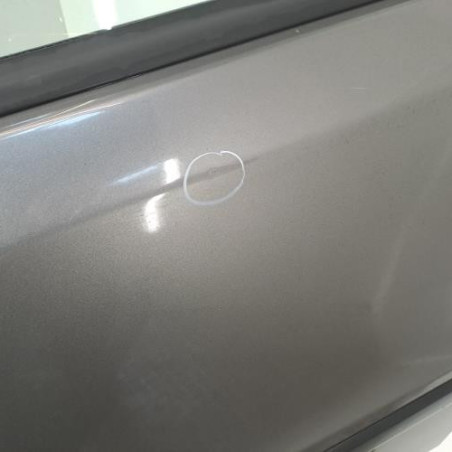 Porte arriere gauche FIAT PANDA 2