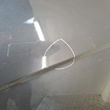 Porte arriere gauche HONDA FR-V