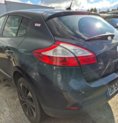 Porte avant gauche RENAULT MEGANE 3 Photo n°9