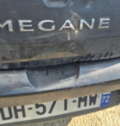 Porte avant gauche RENAULT MEGANE 3 Photo n°10