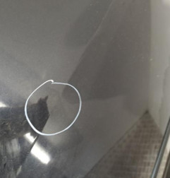 Porte avant droit VOLKSWAGEN GOLF PLUS Photo n°3