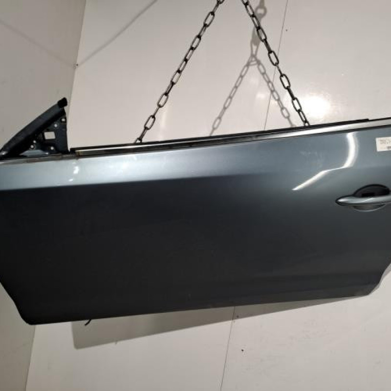 Porte avant gauche RENAULT LAGUNA 3