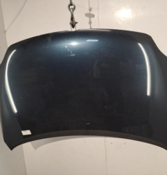 Capot VOLKSWAGEN GOLF PLUS Photo n°1