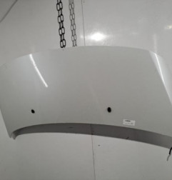 Capot PEUGEOT 3008 1 Photo n°1