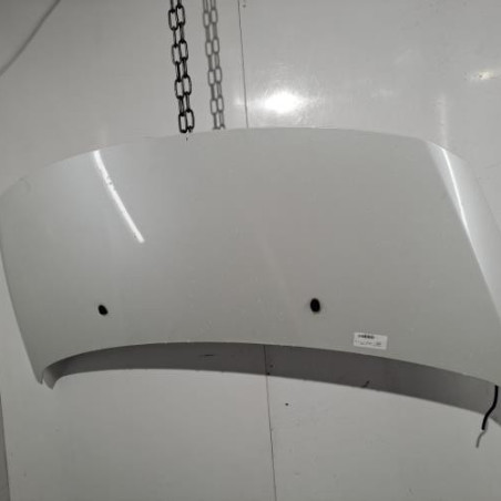 Capot PEUGEOT 3008 1 Photo n°1