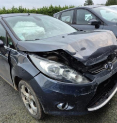 Porte arriere gauche FORD FIESTA 6 Photo n°5