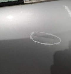 Porte avant droit RENAULT MEGANE 3 Photo n°3