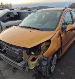 Malle/Hayon arriere PEUGEOT 207 Photo n°9