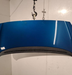 Capot PEUGEOT 1007 Photo n°1