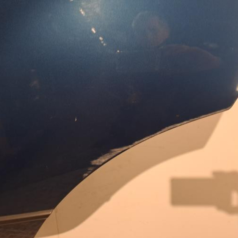 Porte arriere gauche BMW X5 E53