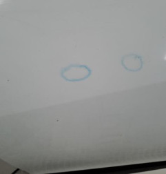 Porte arriere gauche RENAULT SCENIC 3 Photo n°3