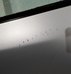 Porte arriere gauche SKODA OCTAVIA 2 Photo n°3