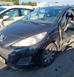 Porte avant droit PEUGEOT 207 Photo n°5