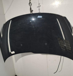 Capot PEUGEOT 206+ Photo n°1