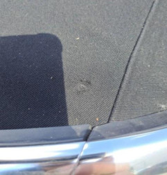 Optique avant secondaire droit (feux)(clignotant) VOLKSWAGEN BEETLE 2 Photo n°13