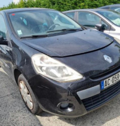 Porte avant gauche RENAULT CLIO 3 Photo n°5