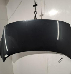 Capot RENAULT SCENIC 3 Photo n°1