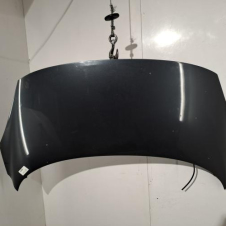 Capot RENAULT SCENIC 3 Photo n°1