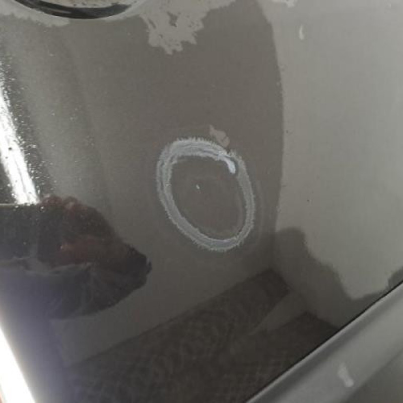 Porte avant droit DACIA DUSTER 1