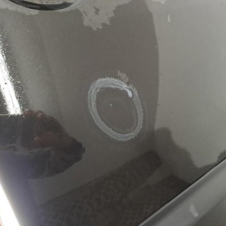 Porte avant droit DACIA DUSTER 1 Photo n°1