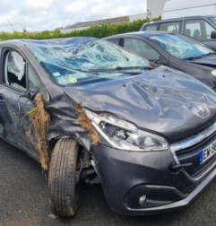 Malle/Hayon arriere PEUGEOT 208 1 Photo n°4