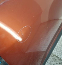 Porte avant gauche RENAULT MEGANE 3 Photo n°3