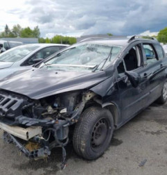 Porte arriere gauche PEUGEOT 308 1 SW Photo n°5