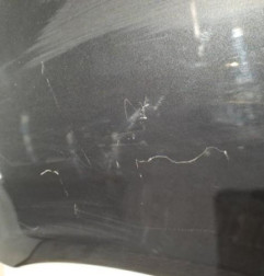 Aile avant gauche CITROEN XSARA PICASSO Photo n°1