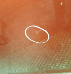 Porte avant gauche TOYOTA YARIS VERSO Photo n°4