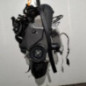 Moteur VOLKSWAGEN POLO 3